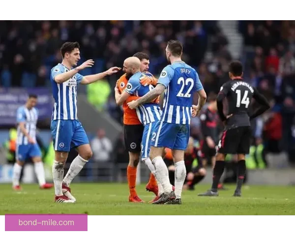 布拉德利英超主场精彩表现对阵切尔西单场传射助球队逆袭