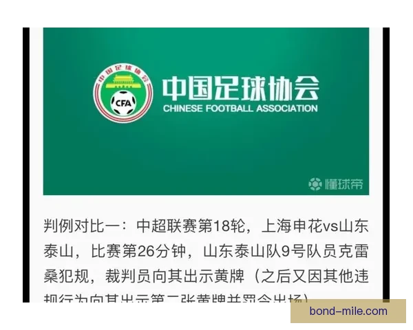 中超联赛重拳整治球场暴力行为全力维护赛场秩序足球发展环境公告